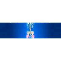 Суглоби ПІД захистом!